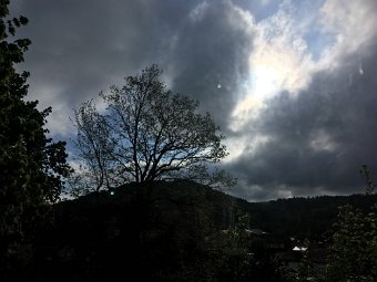 IMG_5265.JPG